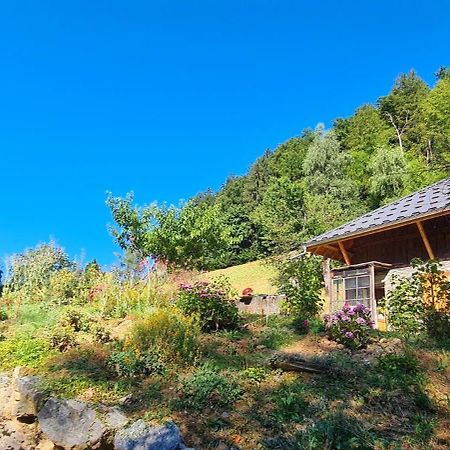 Chambre D'Hotes L'Aire Du Temps Savoyard يوجين المظهر الخارجي الصورة